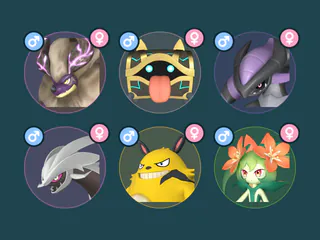 Two Jetragon hatch Jetragon