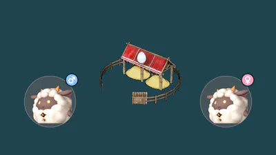 A male and a female Lamball in the Breeding Farm